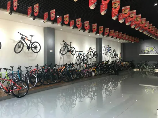 Vélo de montagne BMX en aluminium bon marché pour hommes avec roues à rayons