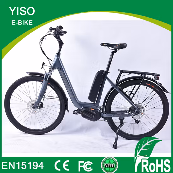 Nouveau vélo électrique Easy Rider MID Drive Beach Cruiser