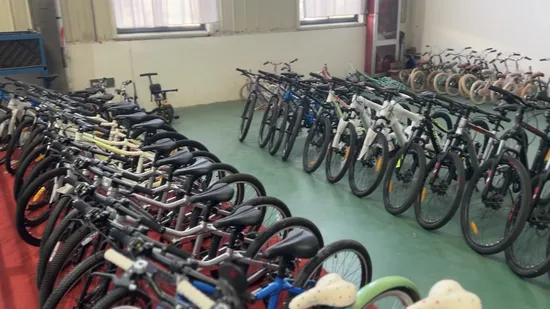 Vélo de route 24 pouces, vélo de plage, vélo de montagne, balades côtières, direct usine