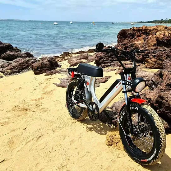 Vélos électriques 750 W à batterie cachée, vélos de plage, vélos électriques chopper